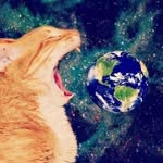 Leo!RC🪼 - @mabelstarr51 - Instagram