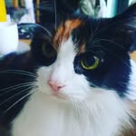 Mabel Russell - @mabelstarry - Instagram
