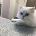Mabel Tong - Facebook