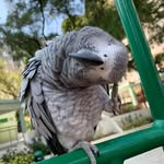 Mabel Tsang - @mabeltsang22 - Instagram