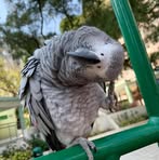 Mabel Tsang - Facebook