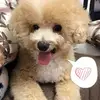 Mabel Tsang - @mabeltsang - TikTok