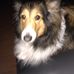 Mabel Tyler - Facebook