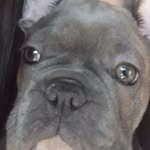 Mabel Valiente - @mabel.valiente.56 - Instagram