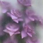 Mabel Valiente - Facebook