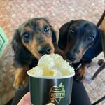Mabel & Wagner - @mabel_and_wagner_ween - Instagram