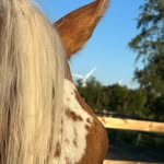 Mabel Warner - @warnertame - Instagram
