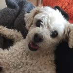 Mabel Bolle Wilhelmsen - @mabelwilhelmsen - Instagram