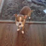 Mabel - @mabelwoodside - Instagram