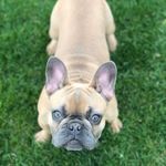 Mabel Armstrong - @mabelarmstrong2021 - Instagram