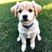 Mable Avery - Facebook