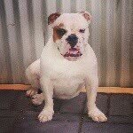 Mable Ballantyne - @mable_ballantyne - Instagram