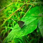 Bharat Mahale - Facebook