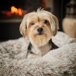 @baxtergrammable - Instagram