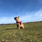 Mable Bell - @mablethefrenchiex - Instagram