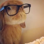 Mabel Benson - @artichoked1p - Instagram