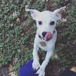 mabel benson - @maybeshesmabel - Instagram