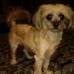 Mable Bernard - Facebook