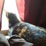 Mable Blackfang - @mable._blackfang - Instagram