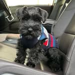 @mable_in_black - Instagram
