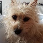 mabel bond - @mabelbond - Instagram