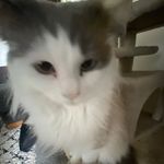 Mabel Bond - @mabelbond78 - Instagram
