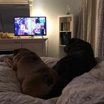 Mable and Bruce Nadeau - @eebee_and_ahwah - Instagram