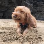 Mabel Cox-Jones - @mabelcoxjones - Instagram