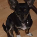 Mable Cox - Facebook