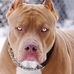 Mable Crain - Facebook