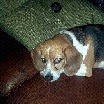 Mable Davis - @mabledavis4 - Instagram
