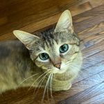 Mabel Day Fuqua - @mabeldayfuqua - Instagram