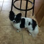 Mable Dean - @mabled50 - Instagram