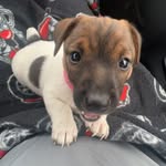 Mable Dean - @mable_dean1 - Instagram