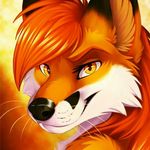 welcome - @mable_the_fox - Instagram