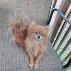 Mable Fuller - Facebook