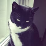 Mabel Edith Garrett-Smith - @mabelgarrettsmith - Instagram