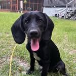 mable grace - @mable_grace23 - Instagram