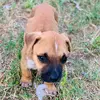 mable_grace - @mable_and_maddie - TikTok