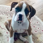 Mable Grace Powell - @mablegracepowell - Instagram