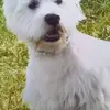 Mabel Grant - @mabel.grant3 - TikTok