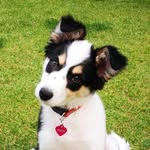 mable Griffiths - @able_mable_griffiths - Instagram