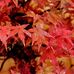 Mable Hahn - Facebook
