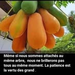 Haroun Malle - Facebook