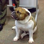 Mable Harmon - Facebook