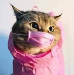 Mable Harrison - Facebook