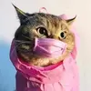 mableharrison849 - @mableharrison849 - TikTok