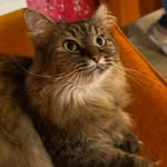 Mabel Higgins - @higginsmabel - Instagram