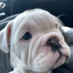 Mabel Mae Higgins - @mabelmaehiggins - Instagram