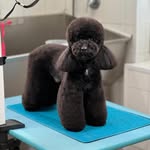 Mable Higgins - @mablehiggins71 - Instagram